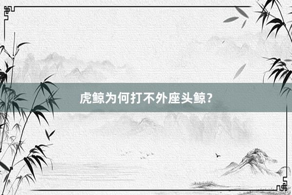 虎鲸为何打不外座头鲸?